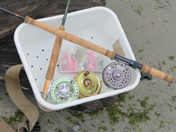 Sea-run cutthroat