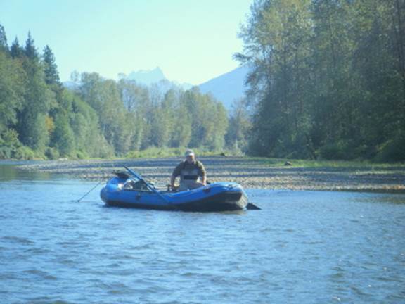 Sea-run cutthroat