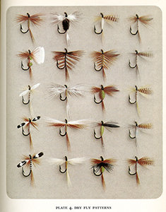 flyplate300.jpg