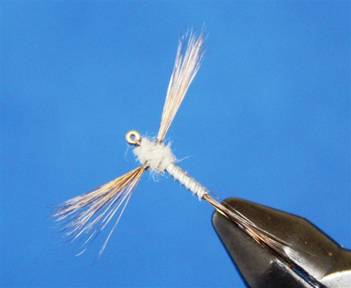 Product Review - Fluff and Feathers - Flyanglers Online - April 19, 2010