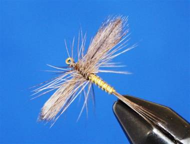 Product Review - Fluff and Feathers - Flyanglers Online - April 19, 2010
