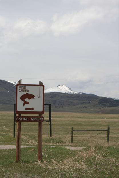 Spring in Montana - May 5, 2009