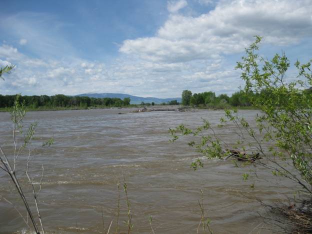 Montana fishing outlook