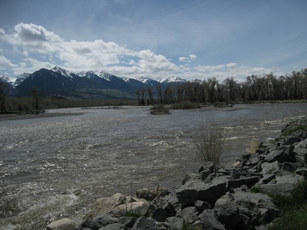 Yellowstone River