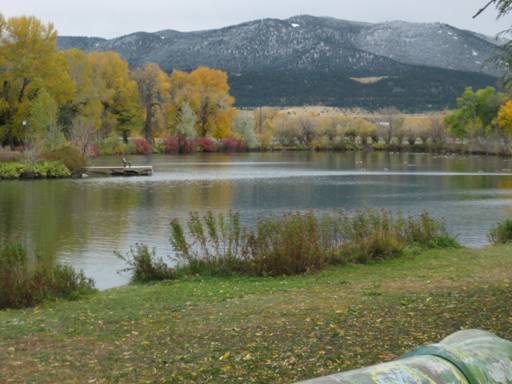 Fall Reflections