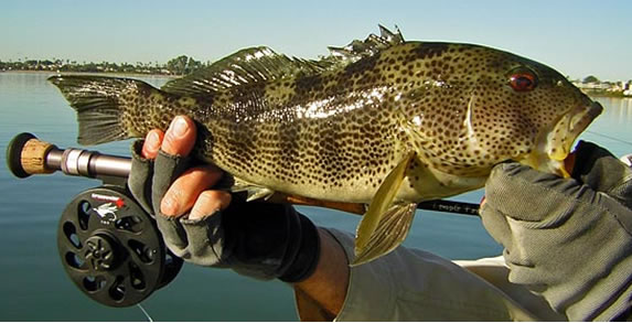 Flyanglers Online March 15, 2010