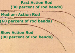 Rod Action
