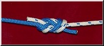 Figure Eight Knot