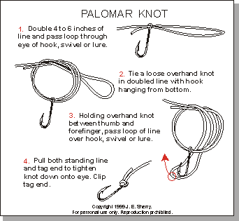 leader/tippet to fly
