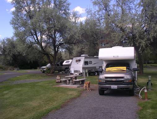 Central Washington Fish in Wrap up for 2011