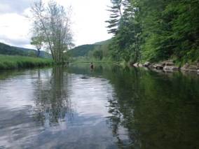 Fish-In79.jpg