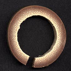 Cross section of cane