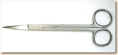 Iris kelly scissors