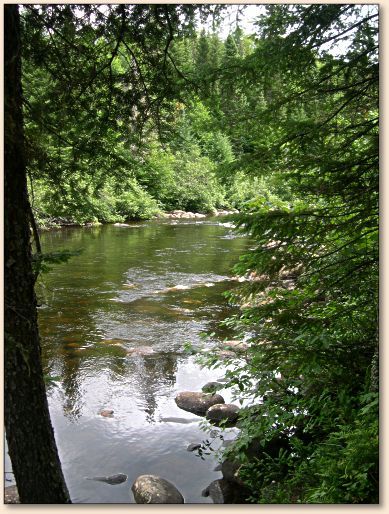 The river