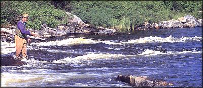 Wet-fly swing on Winisk River