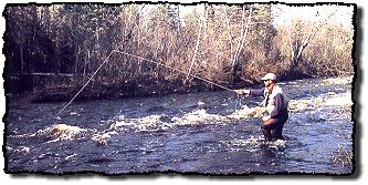 Author fishes a favorite steelhead
 run on the Cypress River (Lake Superior)