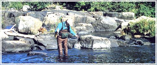 McKenzie River (Lake Superior)