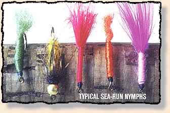 Typical Sea-Run Nymphs