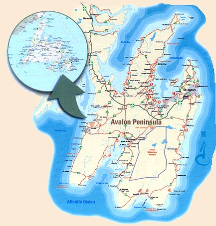 Sea-Run Brown River on the Avalon Peninsula