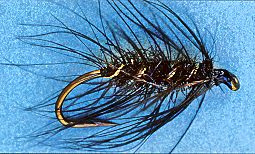 Haig-Brown Caterpillar