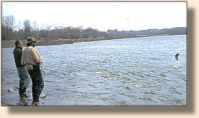 The Flats, Saugeen River