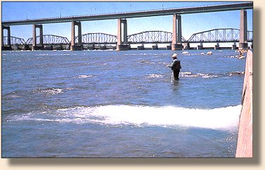 St. Mary's Rapids