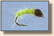 Olive Caddis Larvae Nymph