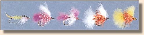 left to right, nympho and cactus flies