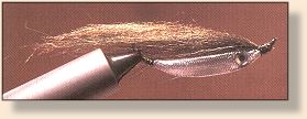 Emerald Shiner