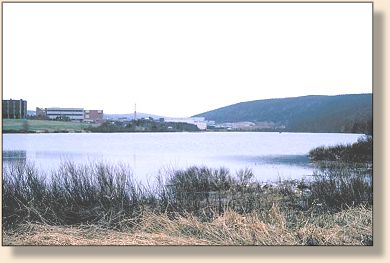 Mundy Pond with Memorial University in background