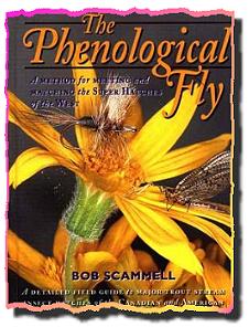 The Phenology book