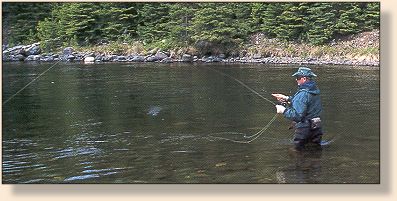Nipigon River