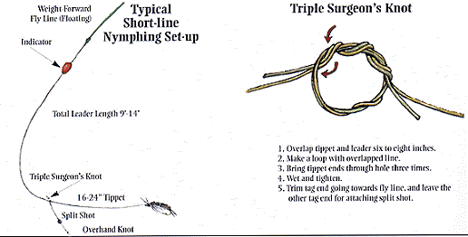 Typical Short-line Nymphing Set-Up