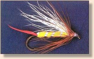 American Coachman