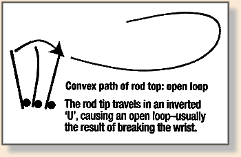 Stages of the Backcast