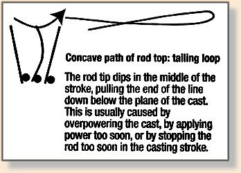 Stages of the Backcast