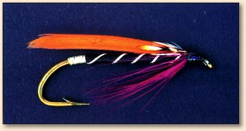 Black, Orange & Jungle Cock