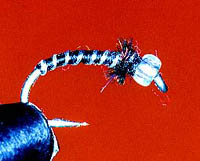 Crow Midge