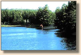 South River at the tressel