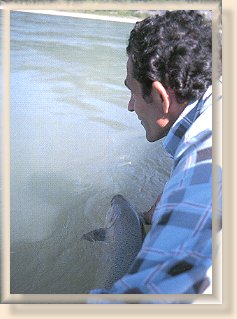 Jim Cult releasing Skeena Chinook