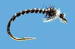 Winter Fly