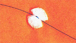 Closed Cell Foam