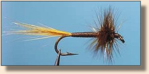 Canadian Brown