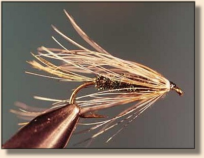 Finished Fly