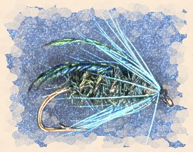 Cedar Borer