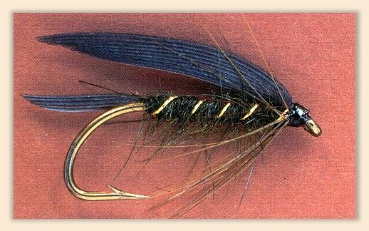 Dark Caddis