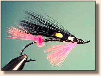 For Brook Trout and Steelhead