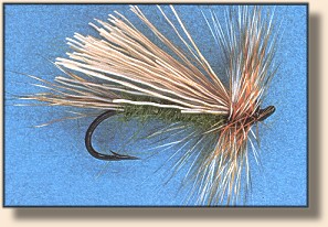 Edwards' Sedge