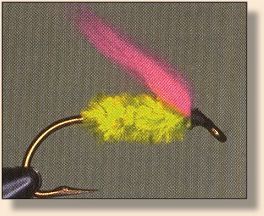 Green and Pink Frammus