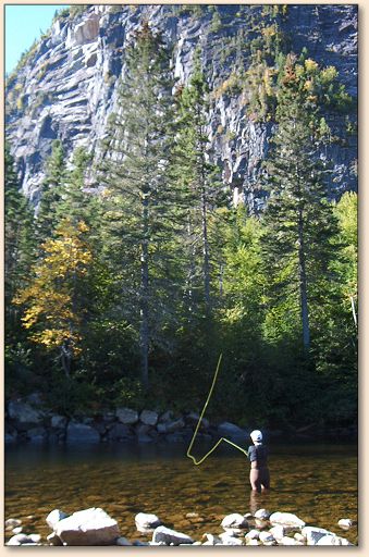 Lunkers hiding in the shadow
